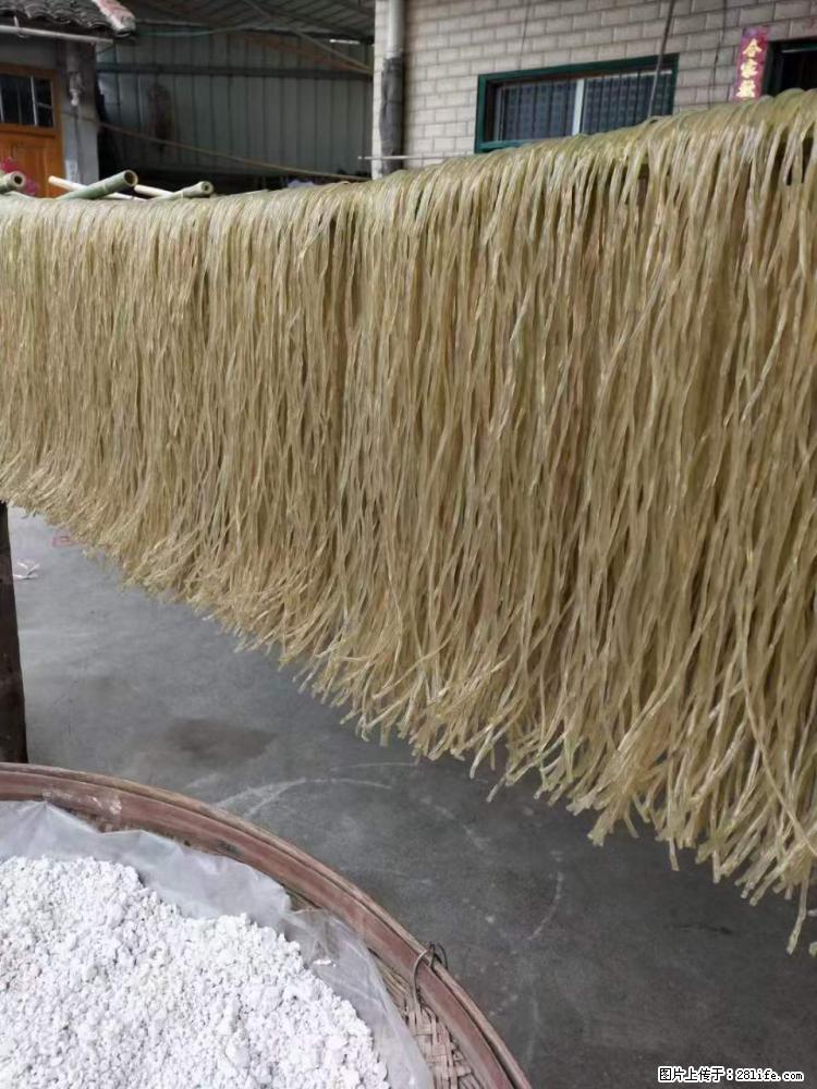 【灌阳正宗红薯粉】美女家里自己做的,干净卫生,假一赔十,价格合理,抢购电话:13737312895 - 美食天地 - 聊城生活社区 - 聊城28生活网 lc.28life.com