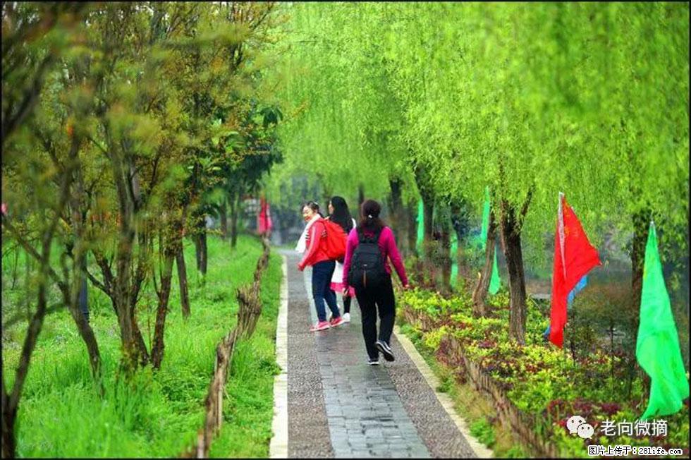 【春天,广西桂林灌阳县向您发出邀请!】江口老街又逢春 - 游山玩水 - 聊城生活社区 - 聊城28生活网 lc.28life.com
