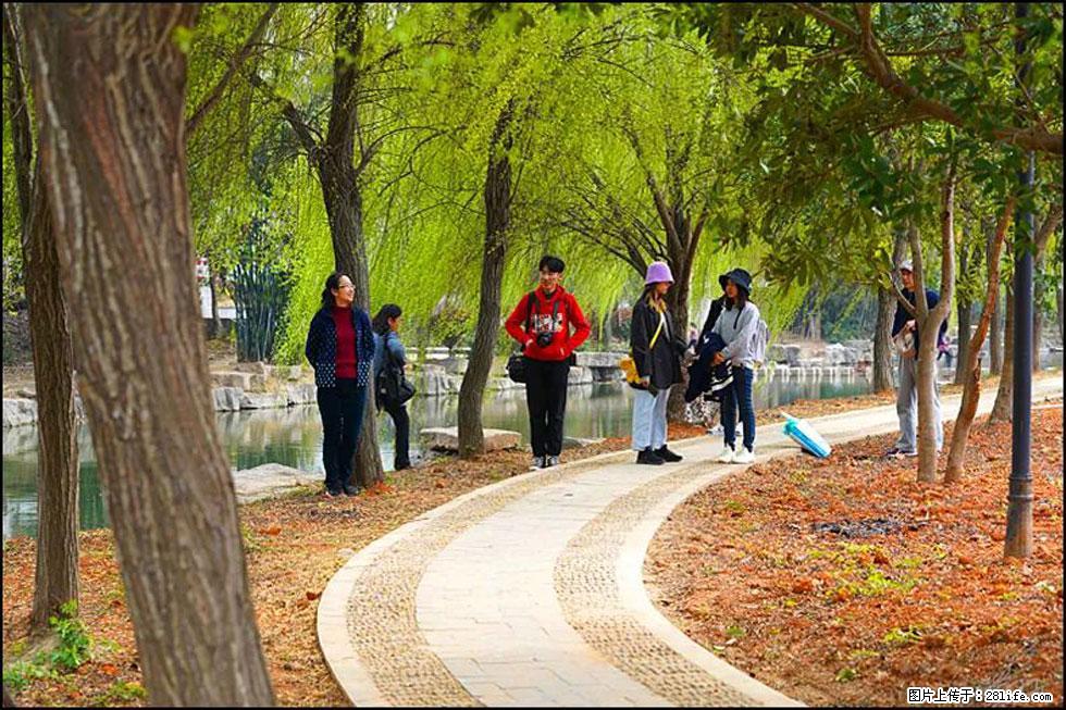 【春天,广西桂林灌阳县向您发出邀请!】江口老街又逢春 - 游山玩水 - 聊城生活社区 - 聊城28生活网 lc.28life.com