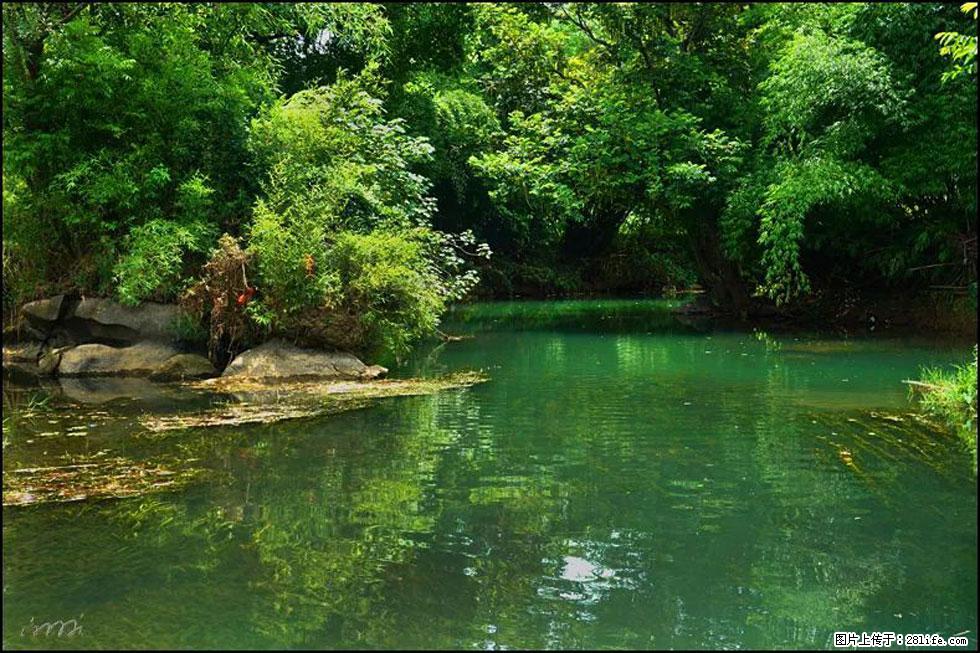 【春天，广西桂林灌阳县向您发出邀请！】如梦似幻莲溪庐 - 游山玩水 - 聊城生活社区 - 聊城28生活网 lc.28life.com