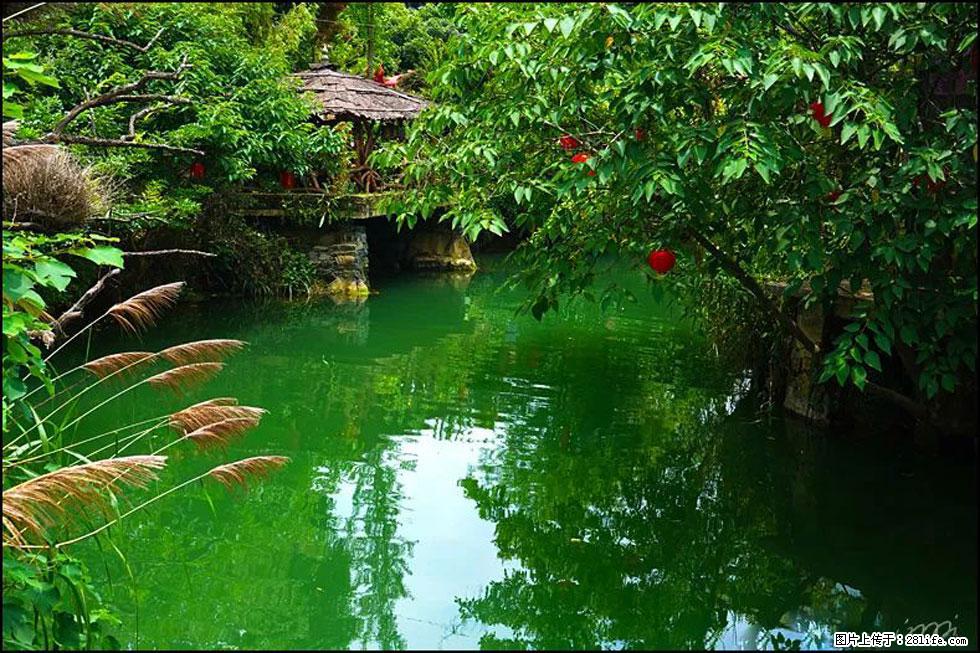 【春天，广西桂林灌阳县向您发出邀请！】如梦似幻莲溪庐 - 游山玩水 - 聊城生活社区 - 聊城28生活网 lc.28life.com