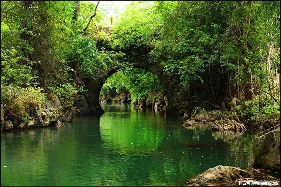 【春天，广西桂林灌阳县向您发出邀请！】如梦似幻莲溪庐 - 游山玩水 - 聊城生活社区 - 聊城28生活网 lc.28life.com