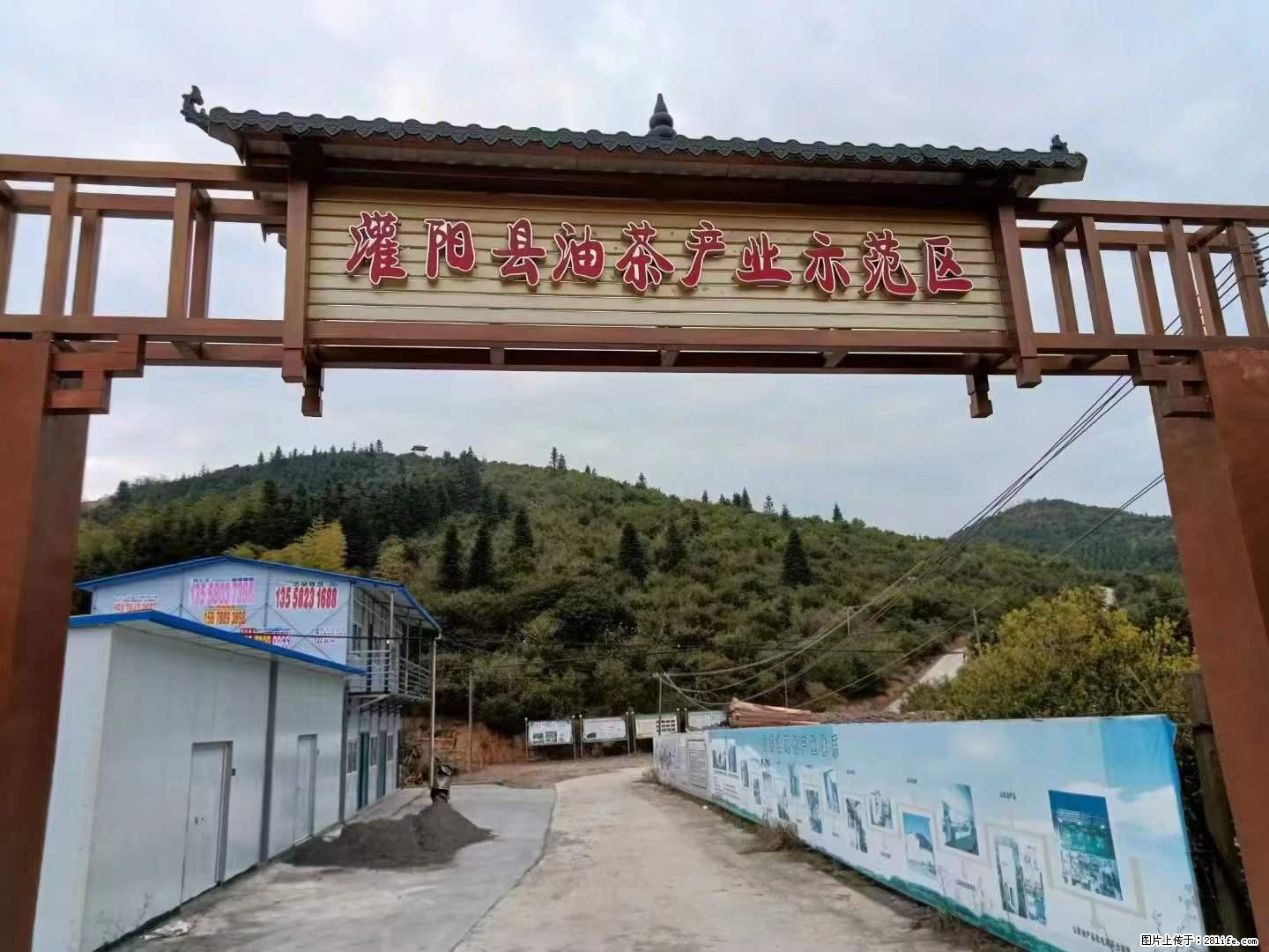 【灌阳县油茶产业示范区】一个有着充实的精神生活的人,对待身外之物自会有一种淡泊的态度 - 美食天地 - 聊城生活社区 - 聊城28生活网 lc.28life.com