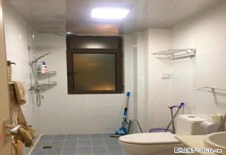 东昌路市委旁 三室二厅 家具家电全齐 拎包入住 - 聊城28生活网 lc.28life.com