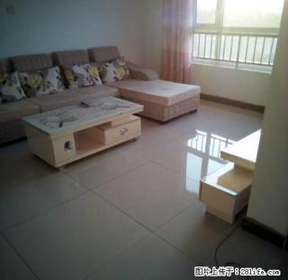 英特小学东临 御景王宅 中层三房首~次出租 精装修 拎包入住 - 聊城28生活网 lc.28life.com