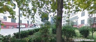 三中对过市政府家属院 有暖气 家具家电齐全 - 聊城28生活网 lc.28life.com