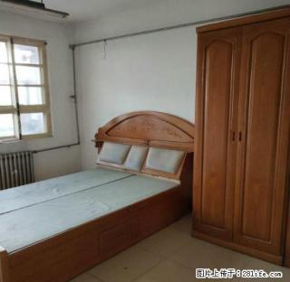 金鼎 育新街 新区小学 3居 家具齐全 领包入住 先到先到! - 聊城28生活网 lc.28life.com