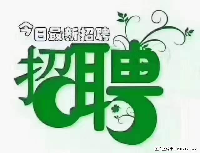 【招聘摄像师】待遇:试用期6000元/月,转正7000元/月+五险一金+餐补+节日福利+奖金 - 职场交流 - 聊城生活社区 - 聊城28生活网 lc.28life.com