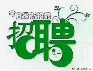 上海青浦区招仓管 - 聊城28生活网 lc.28life.com