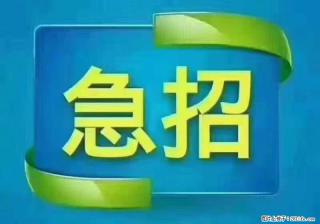 招出纳8000元/月，无证可以，要有相关经验，上海五险一金，包住，包工作餐，做六休一。 - 聊城28生活网 lc.28life.com