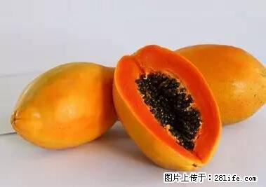 晕车、脚气、牙齿变黄、皮肤粗糙?学会这些三分钟搞定! - 聊城生活资讯 - 聊城28生活网 lc.28life.com