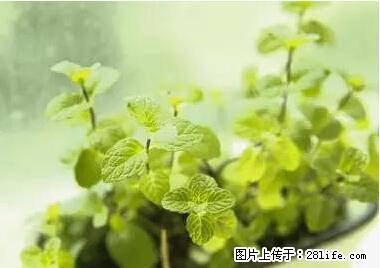 晕车、脚气、牙齿变黄、皮肤粗糙?学会这些三分钟搞定! - 聊城生活资讯 - 聊城28生活网 lc.28life.com