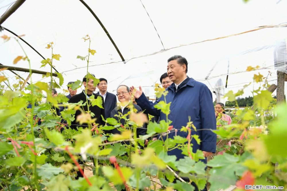 习近平赴广西考察调研 - 聊城生活资讯 - 聊城28生活网 lc.28life.com