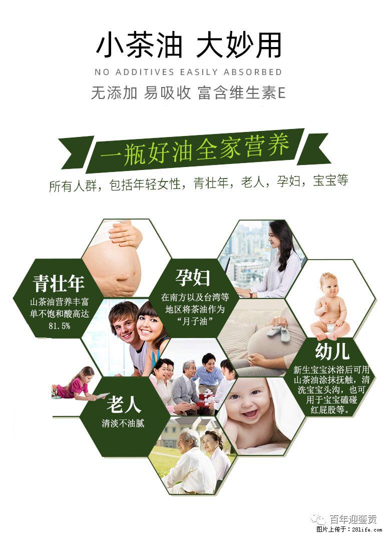 世界没有真相,只有认知,最好的食用油是中国的山茶油! - 聊城生活资讯 - 聊城28生活网 lc.28life.com