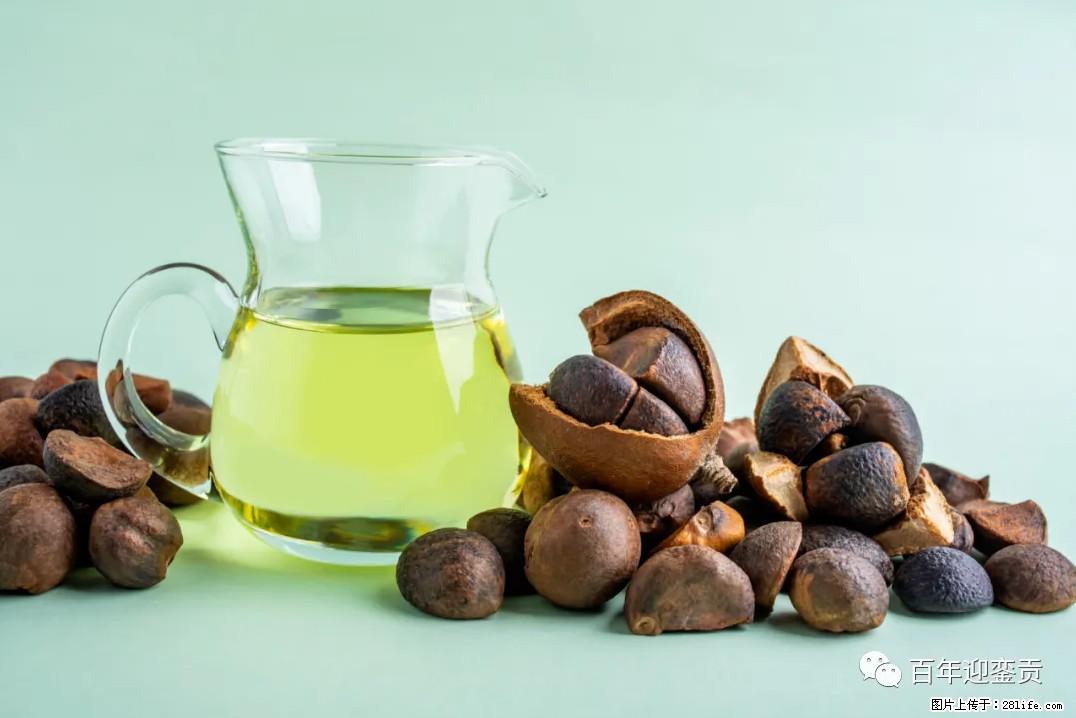 世界没有真相，只有认知，最好的食用油是中国的山茶油！ - 聊城生活资讯 - 聊城28生活网 lc.28life.com