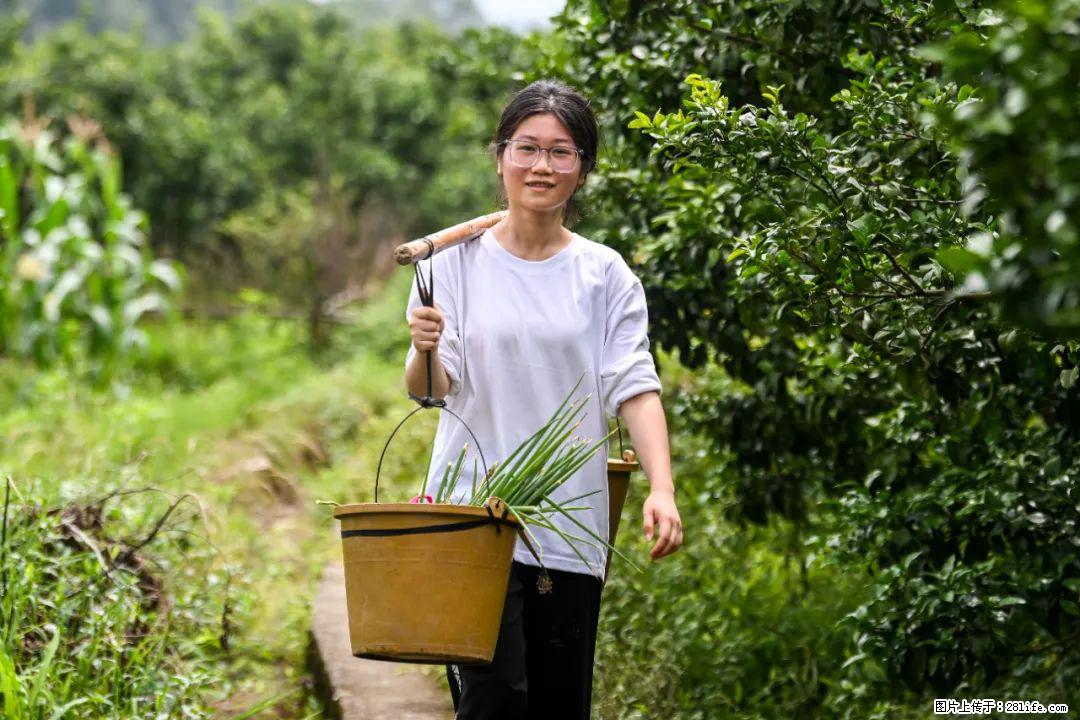 全网追的“扁担女孩”，找了一份暑假工，时薪12元 - 聊城生活资讯 - 聊城28生活网 lc.28life.com