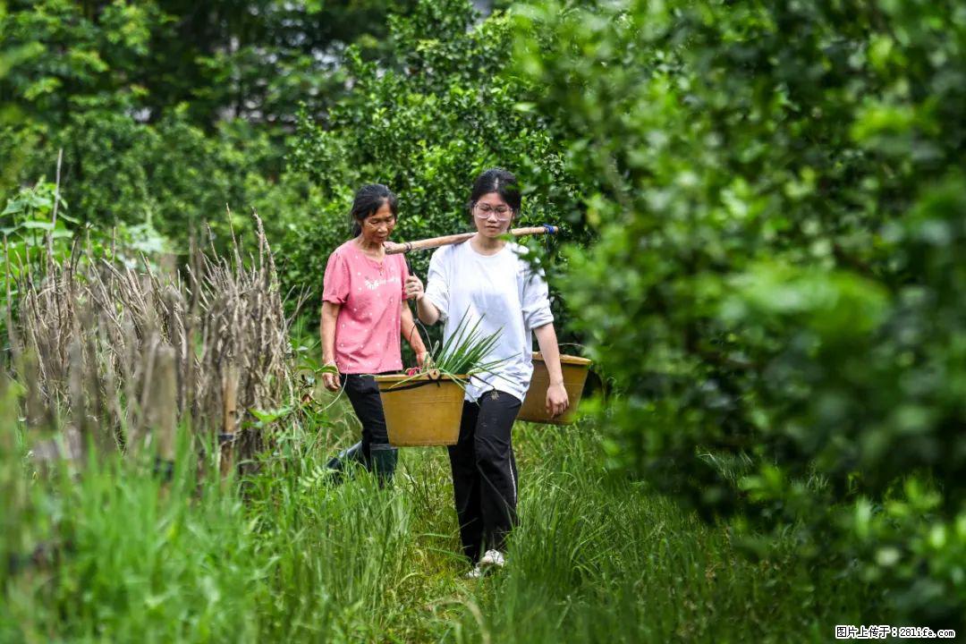 全网追的“扁担女孩”，找了一份暑假工，时薪12元 - 聊城生活资讯 - 聊城28生活网 lc.28life.com