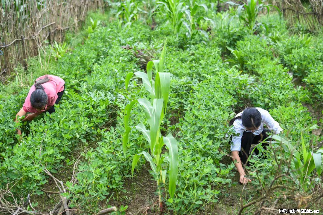 全网追的“扁担女孩”，找了一份暑假工，时薪12元 - 聊城生活资讯 - 聊城28生活网 lc.28life.com