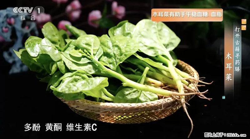 比牛奶补钙还厉害！凉血解毒、稳血糖...这菜冬天必吃，很多人却当草 - 聊城生活资讯 - 聊城28生活网 lc.28life.com