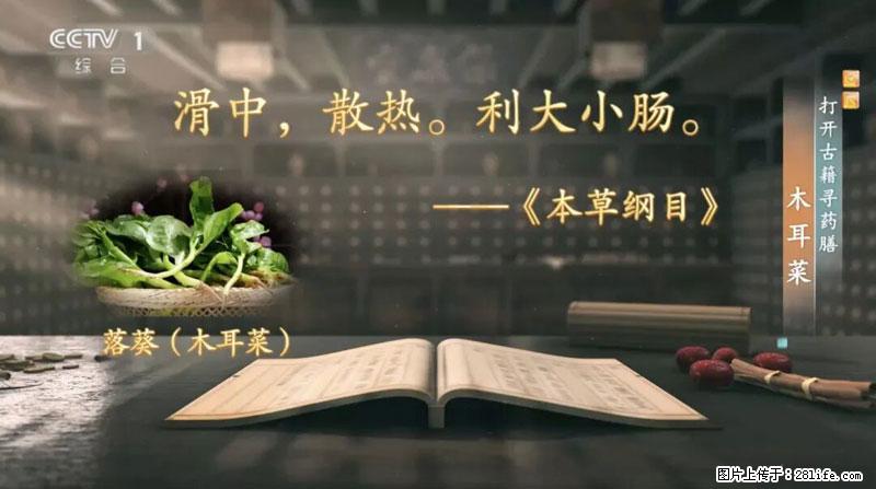 比牛奶补钙还厉害！凉血解毒、稳血糖...这菜冬天必吃，很多人却当草 - 聊城生活资讯 - 聊城28生活网 lc.28life.com