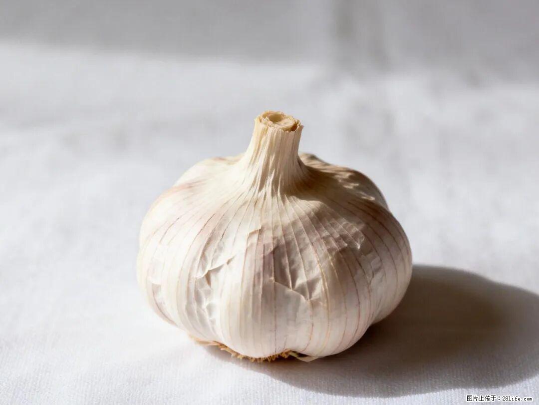 关于大蒜，除了“天然抗生素”，这4个谣言更该警惕! - 聊城生活资讯 - 聊城28生活网 lc.28life.com