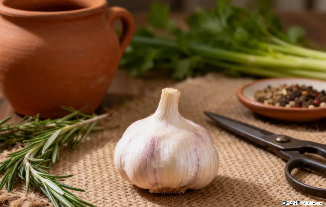 关于大蒜，除了“天然抗生素”，这4个谣言更该警惕! - 聊城生活资讯 - 聊城28生活网 lc.28life.com