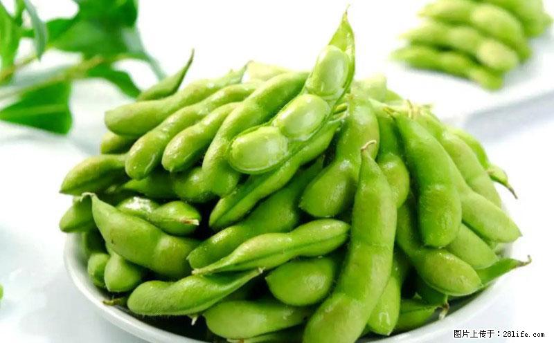 这些蔬菜是“天然钙片”，这6种被医生重点推荐 - 聊城生活资讯 - 聊城28生活网 lc.28life.com