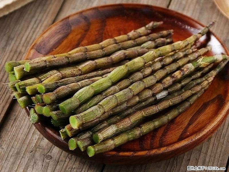 铁皮石斛的作用与功能主治 - 聊城生活资讯 - 聊城28生活网 lc.28life.com
