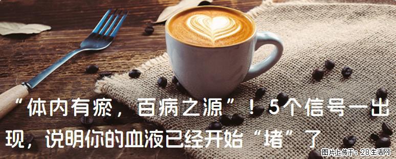 “体内有瘀，百病之源”！5个信号一出现，说明你的血液已经开始“堵”了 - 聊城生活资讯 - 聊城28生活网 lc.28life.com